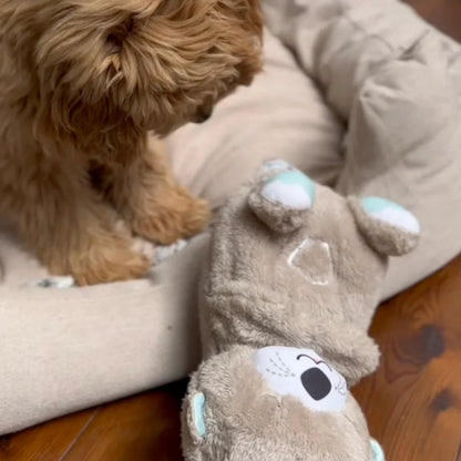 Everly Calming Breathing Otter