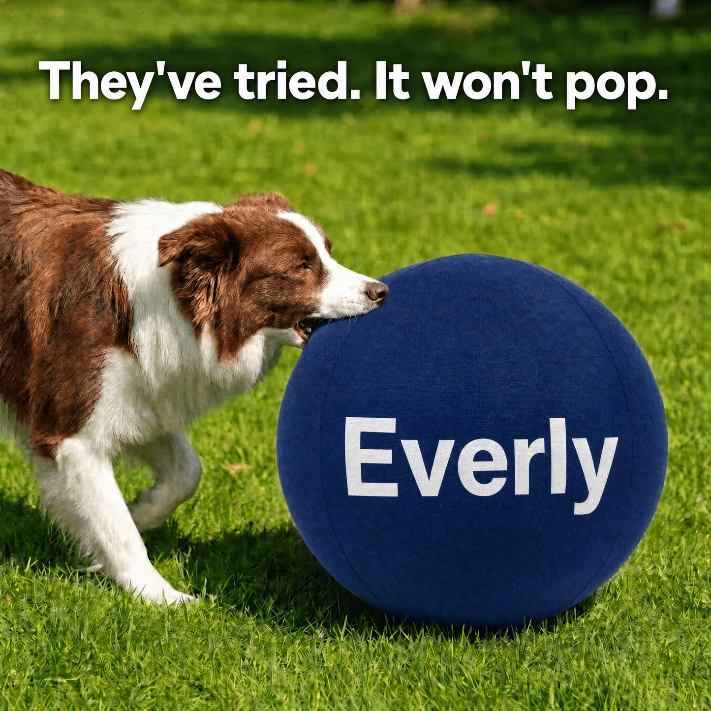 Everly™ Herding Ball