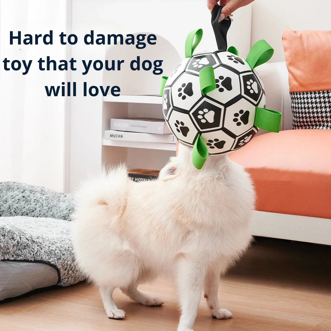 Everly Viral Doggie Ball