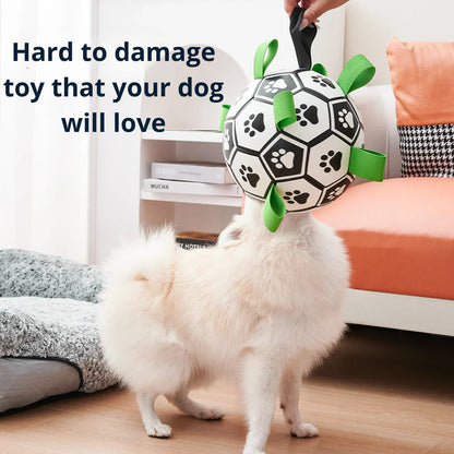 Everly Viral Doggie Ball