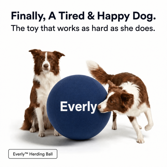 Everly™ Herding Ball
