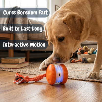 Everly Viral Rope Roller