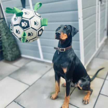 Everly Viral Doggie Ball