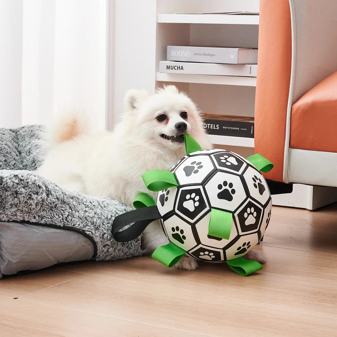 Everly Viral Doggie Ball